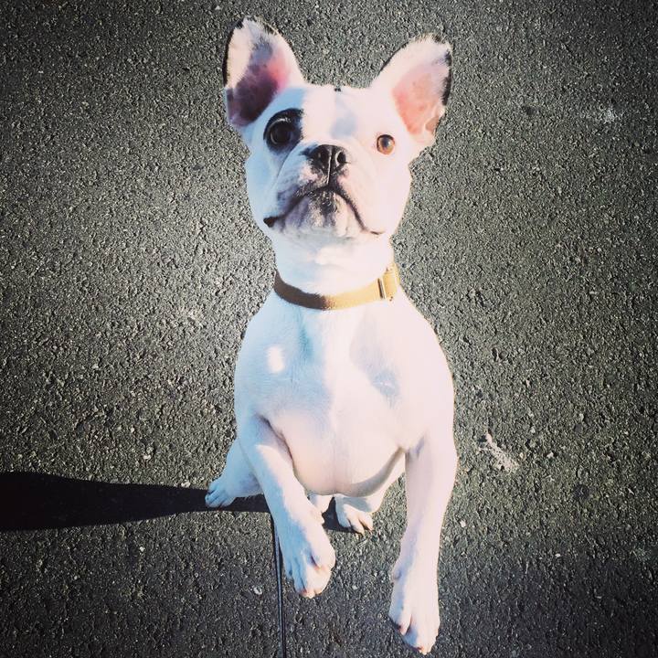 69fb16eb ada8 41a2 87cf d849cbfa4a24