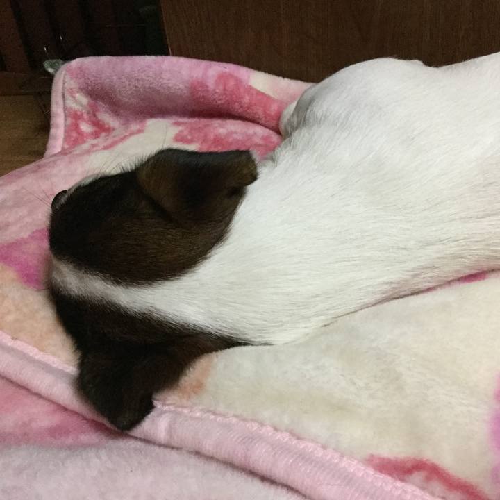 69fb22aa 7c86 40ad 8f78 a80a860fdd9e