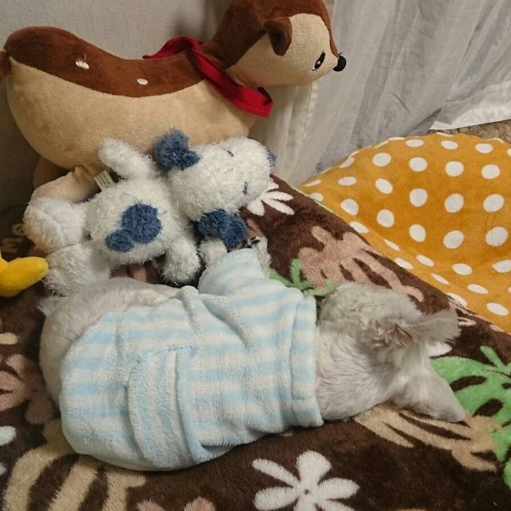 69fb3115 8898 4258 888e da6033652d09