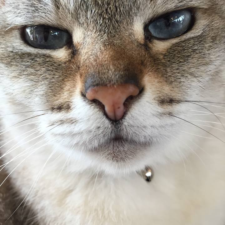 69fb42d7 a894 48ba 8133 315b8d0a9ff4