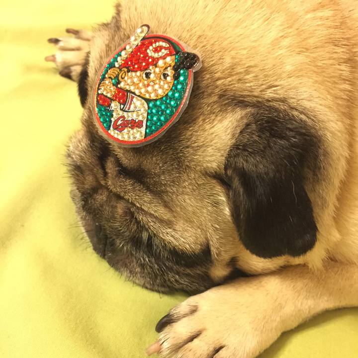 69fb546c bb48 409f b2ef b77a246eeaad