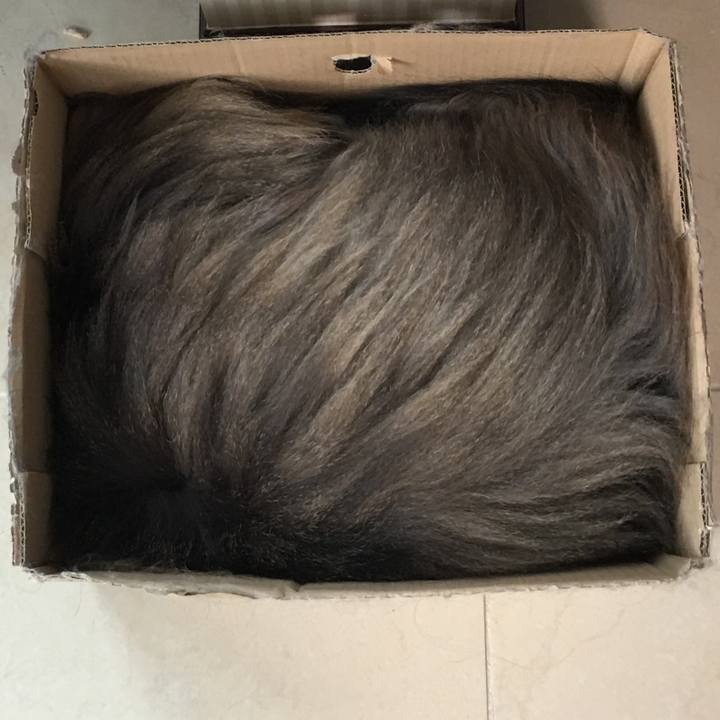 69fcbf69 6f1c 4211 bf32 82875dc37d16