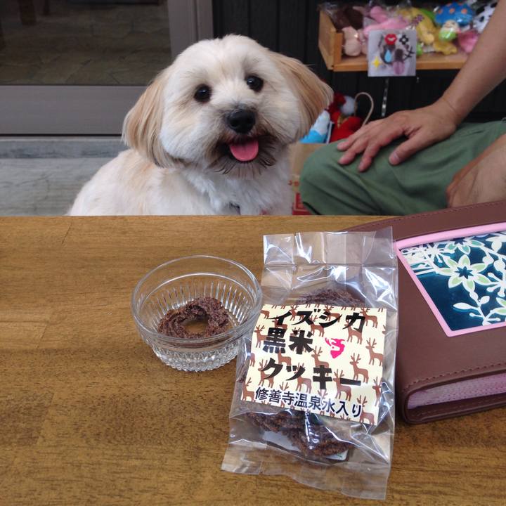 69fce3b6 0bd6 4c35 98ae 4e91692cb144