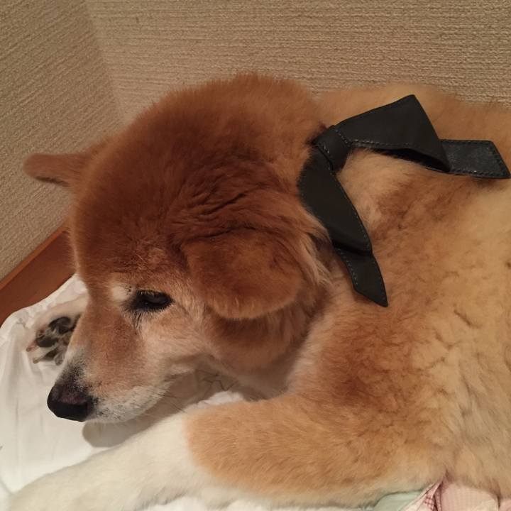 69fde658 e46d 4581 84ea 5cb044bd5673