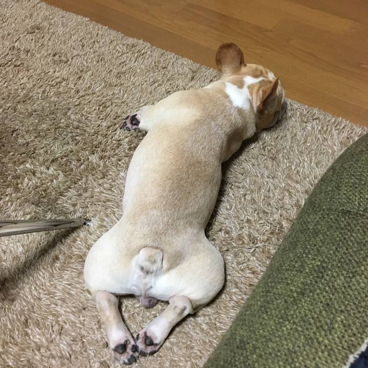 69fe7e92 1333 4e5d bd7b 44f44cdfc337