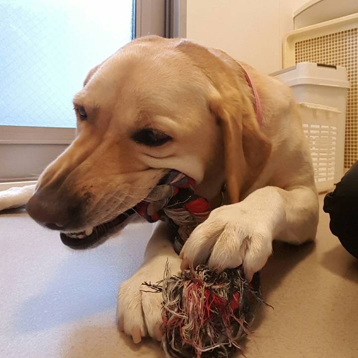 69febaa1 10a5 4fbd 8c2f 7b7d98b323f3