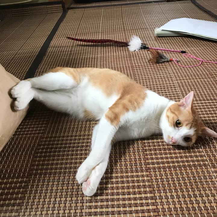 69fefefa 8a86 4616 a149 086acbfec3fd