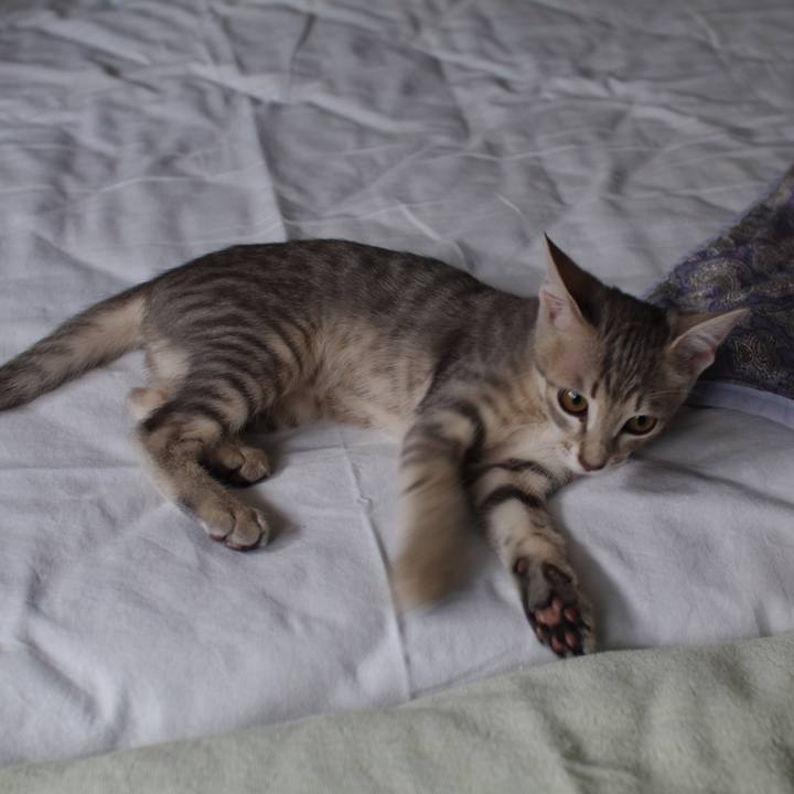 69ff5fd5 ff87 4d35 b69f 40f4b9d88168