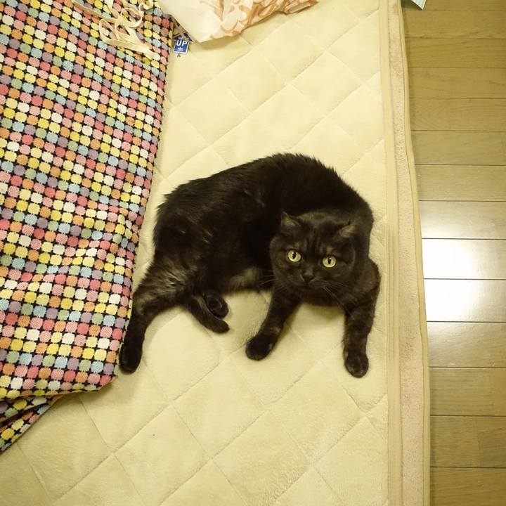 69ff6abf 7424 473a 9386 6bb1a3263add