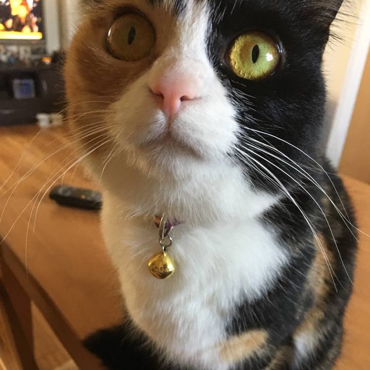 69ffa885 079c 42b0 82ef 168e90149a84