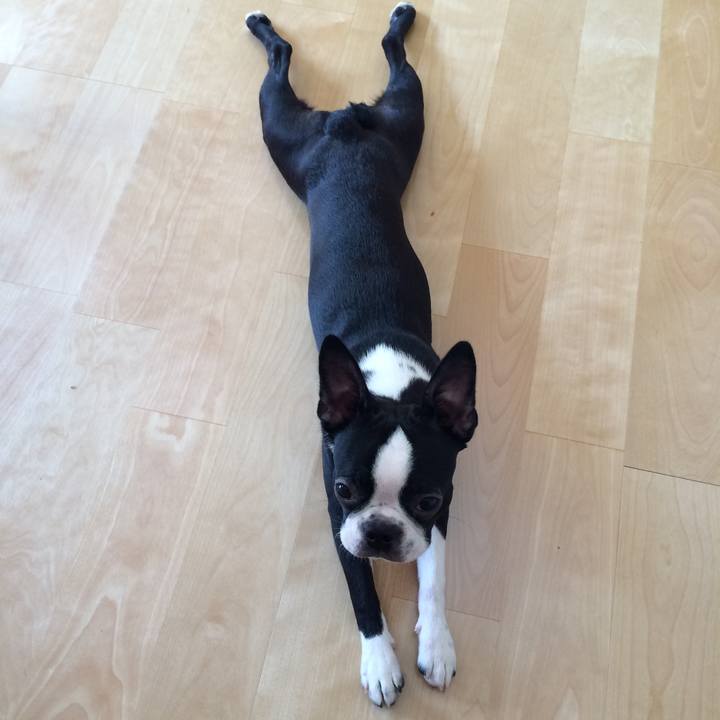 69ffc1f0 8c64 4d13 970c 11e9c9281161