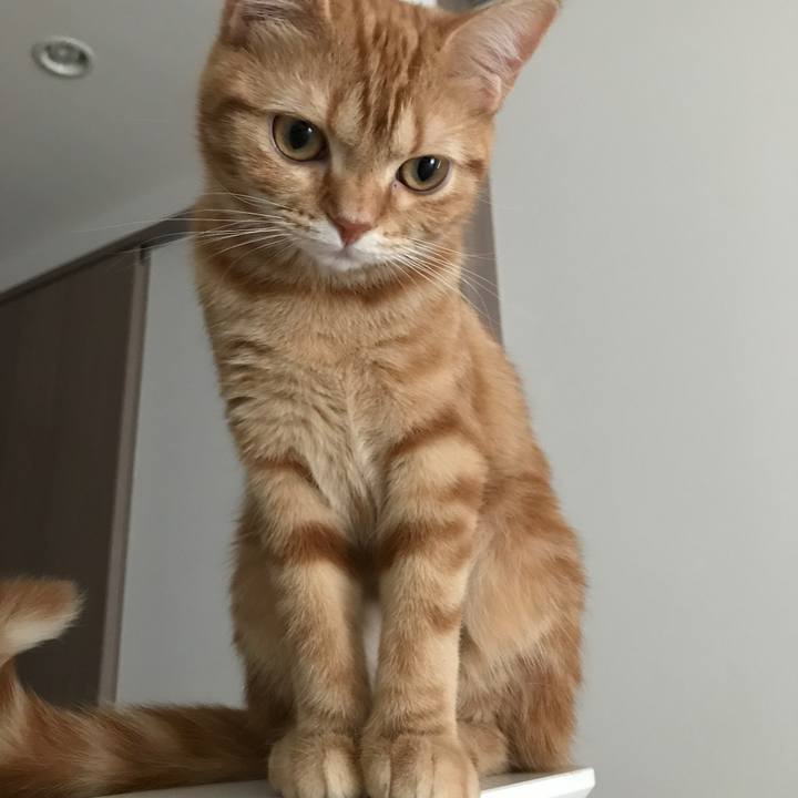 6a009848 0f92 4f54 b68c 2fea427f7f13