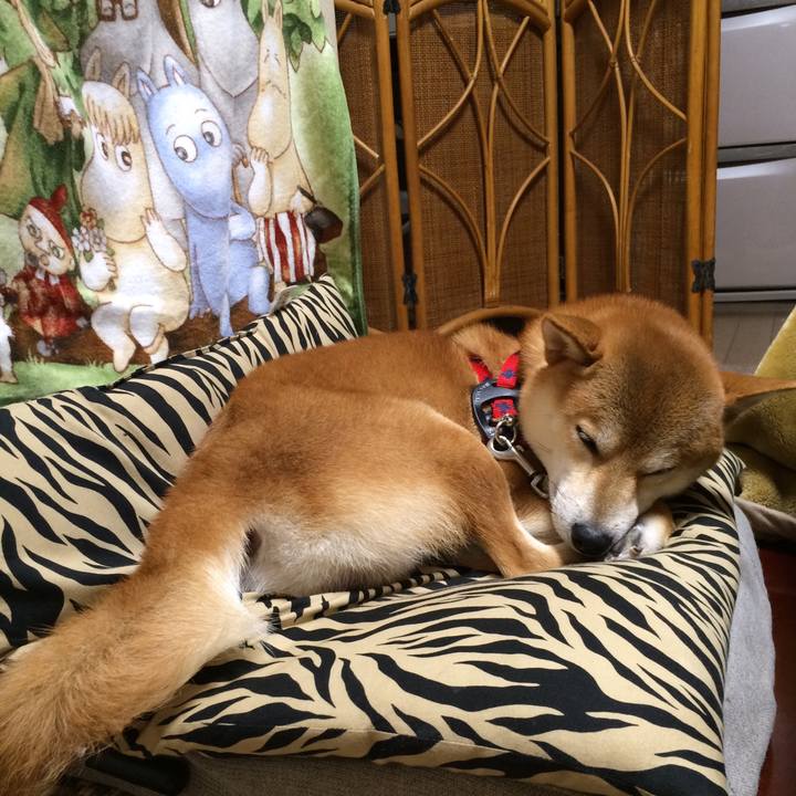 6a0110d0 a6c5 48a4 a4f2 39f2d8599476