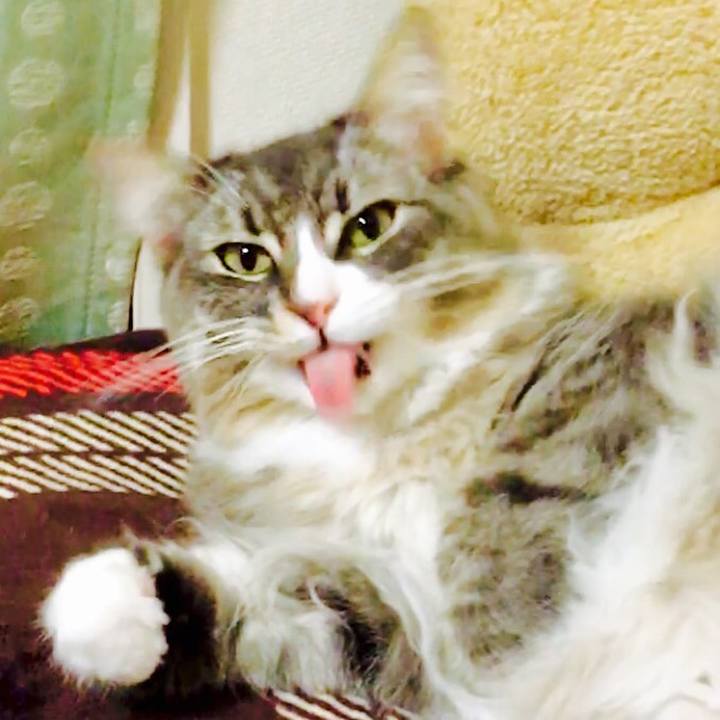 6a01293e a55d 433a bd8f 6731ca41ca4d