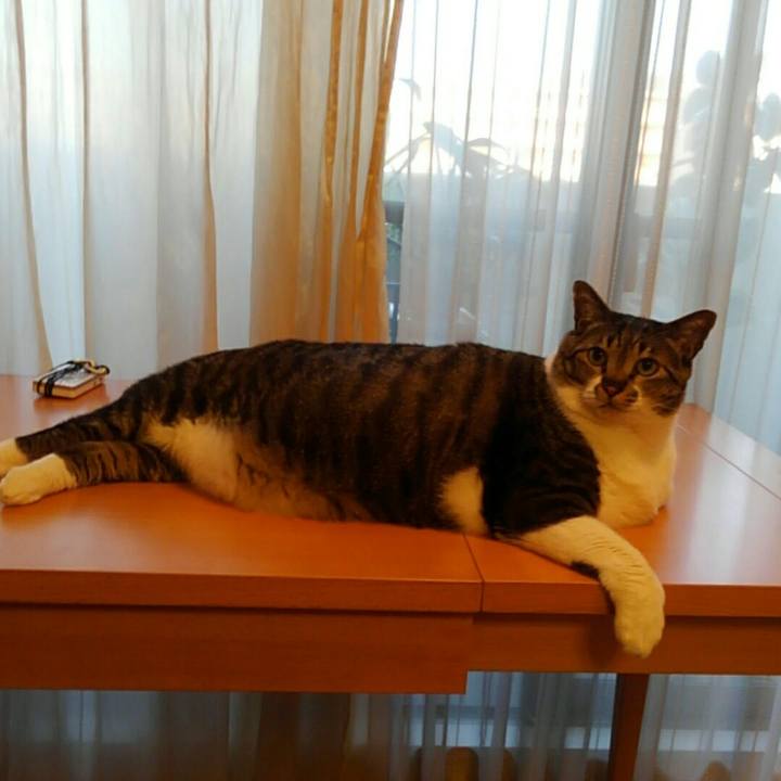 6a018f9e 85bc 45b8 9f63 d155ae39fc17