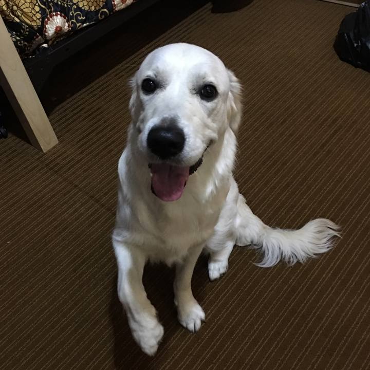 6a023c10 708a 4596 9bcb 746f9204fb06