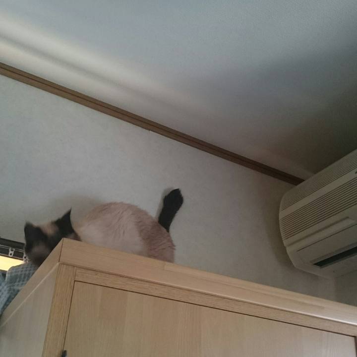 6a028652 782b 468a a088 7b1de61b8eb9