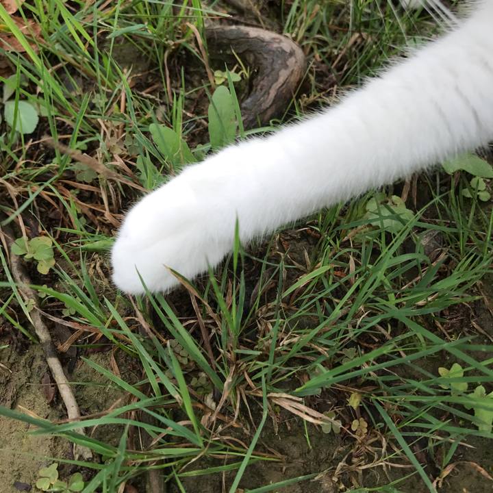 6a033ea1 8791 41b3 aaa9 5710ee2901a0