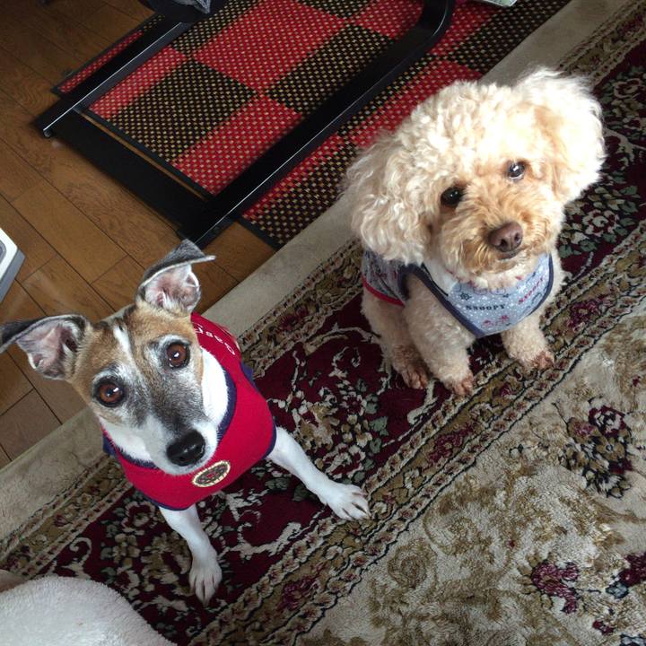 6a035ec5 5726 45bc 8f8c 76542430d7e6