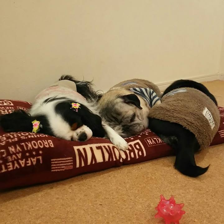 6a03e99d 1e89 4024 be5b 123a244eeb93