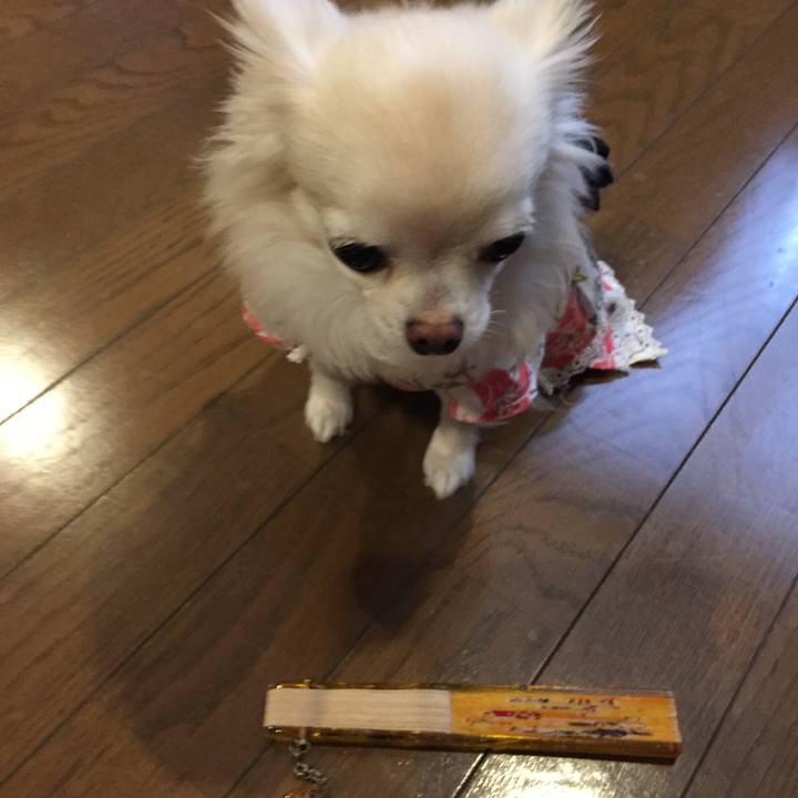 6a0420f9 de04 4c9c bc0e 8e54a89ea589