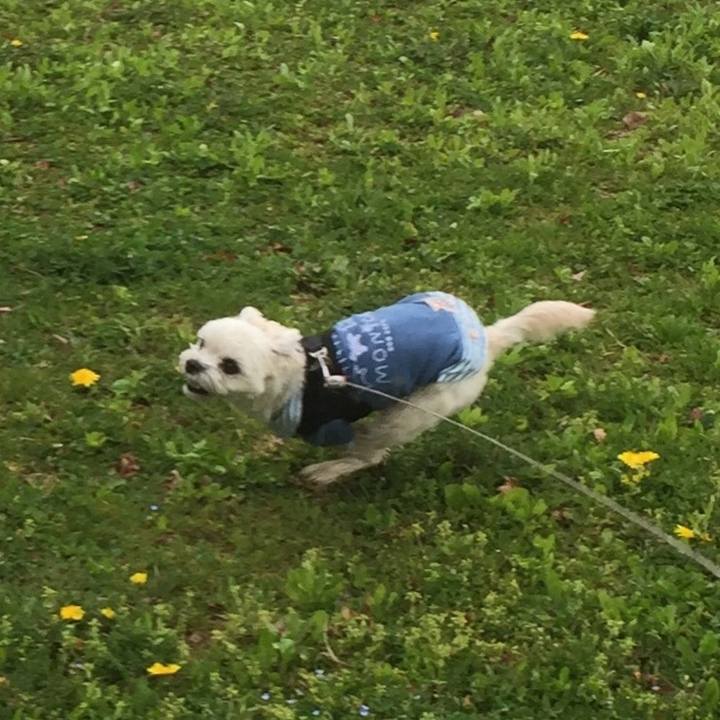 6a04e8f2 aae3 4856 845f dfdcb2a56bec