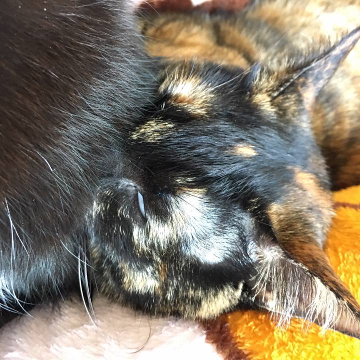 6a050ff6 5113 4dc6 8d59 7473b83b046a