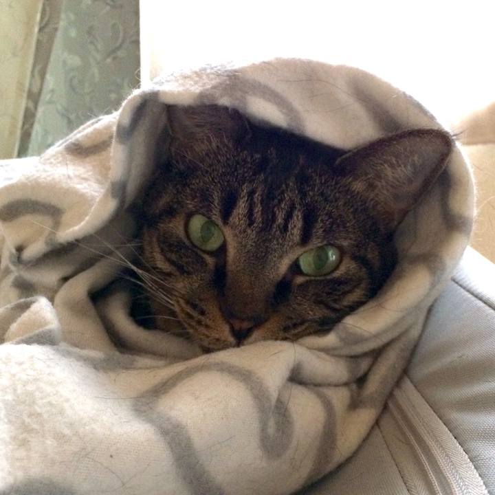 6a053dbb 4134 4fbb 8e6c d15cf917b6a8