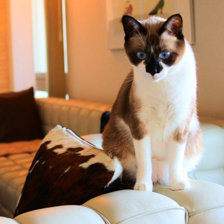 6a05427c 5a08 4d18 958d 638f4067f872