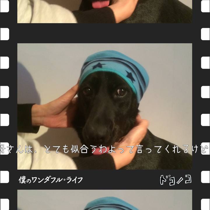 6a059383 a862 4803 af81 056385ef2838