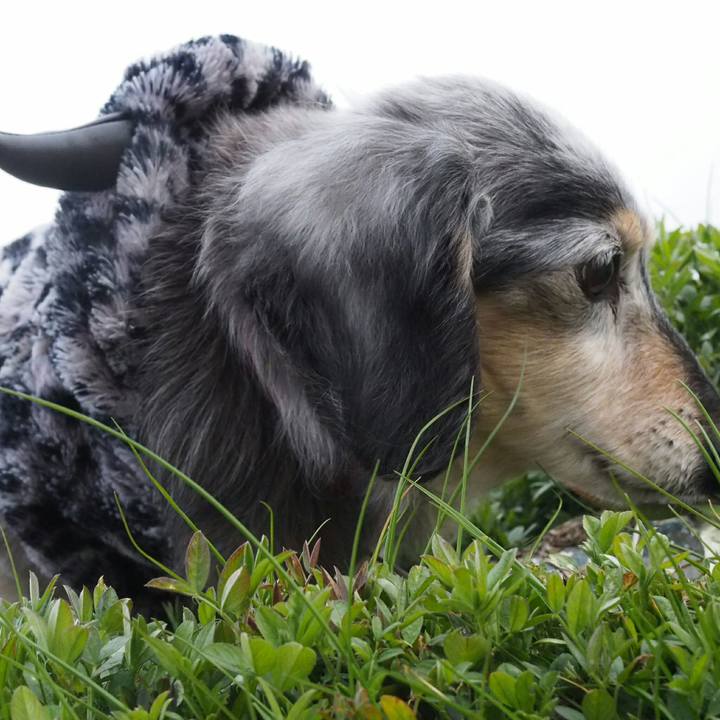 6a05a5d4 e6a9 4257 be45 74b702b601d6