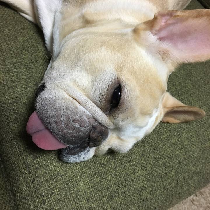 6a06fb7e 6d8d 43b6 87f4 a083a7164dc1