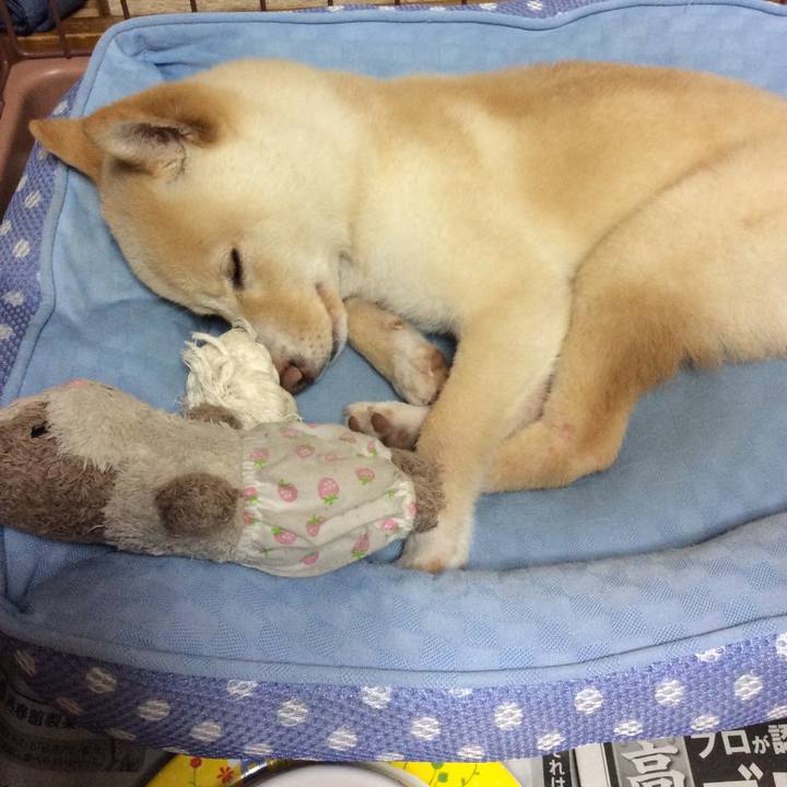 6a075450 0590 4d06 8d22 21bee71664c6