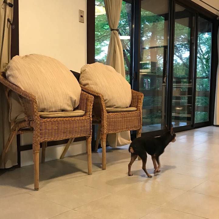 6a07e2b2 a37c 4cf4 bd0d 108b25c99d10