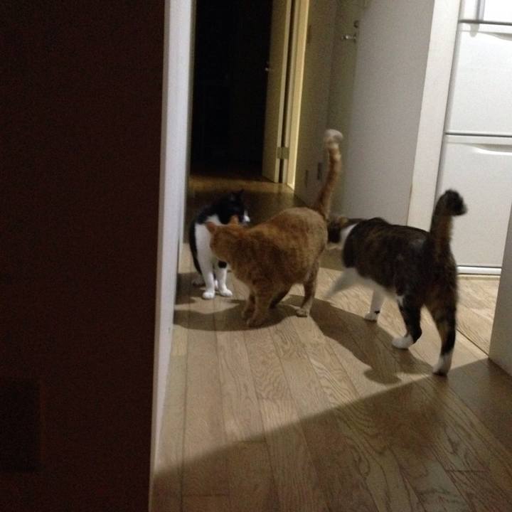 6a083ef6 e373 4704 b691 36cd6c584f14