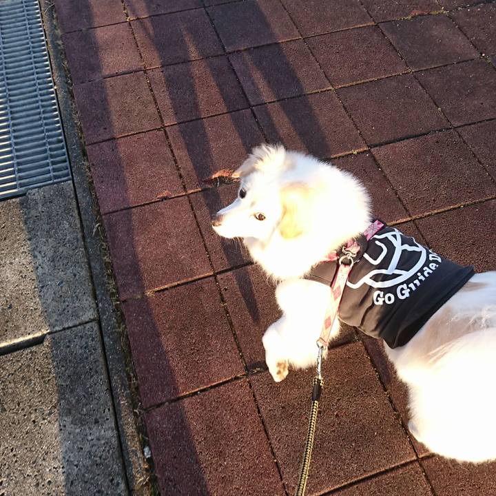 6a087a6e 2f99 4cf2 bbbd bb85a74292c7