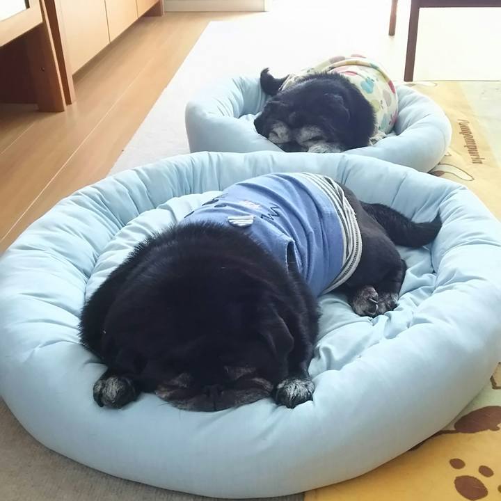 6a08ba92 9bce 441d b89e db3db8d267a4