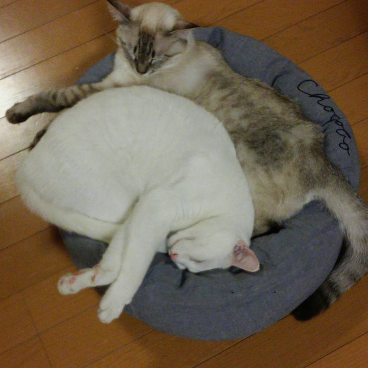 6a08ef54 9f94 445f a14d d9047a4a33fe