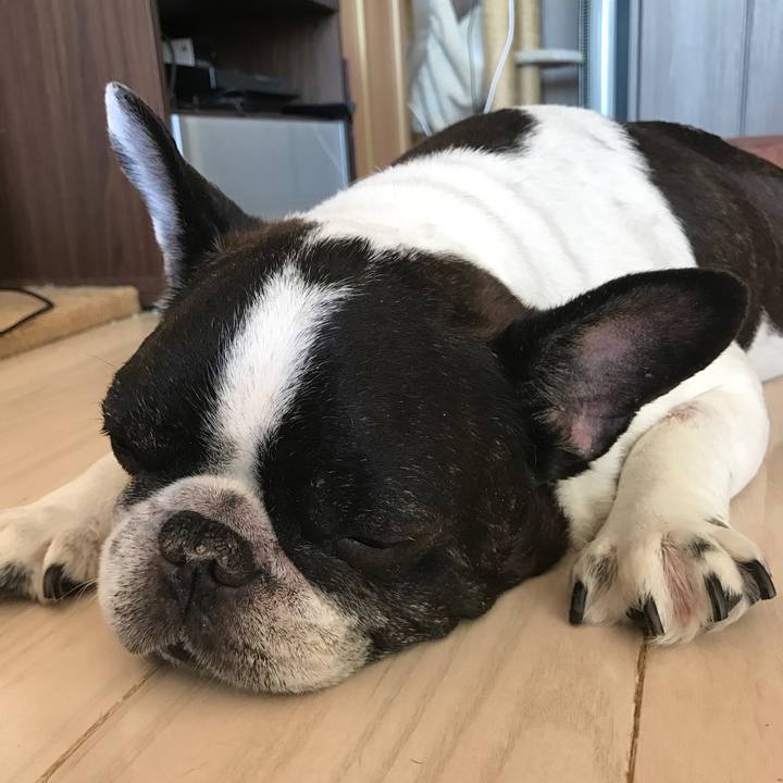 6a092d84 411e 434f 978e 3ed3bae8fb57