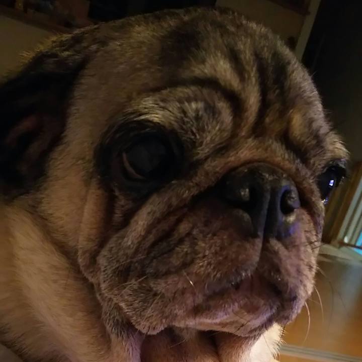 6a092f9a 16c6 41e8 829e e052d3882778