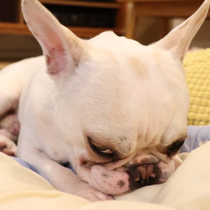 6a09b451 7672 4d34 adb4 c4b3c26bcc77