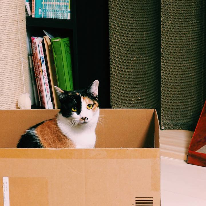 6a09f7af 8c1c 4a82 9e22 b544c4e9e984