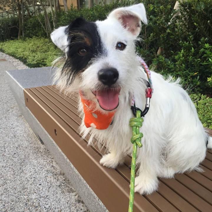 6a0ab171 c928 4aa9 9c94 d18e975f2d40