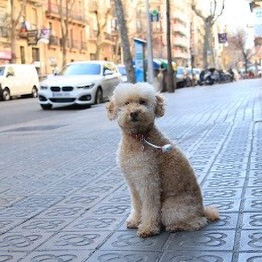 6a0ad4b7 9672 4f99 bff5 ecd635ab6867