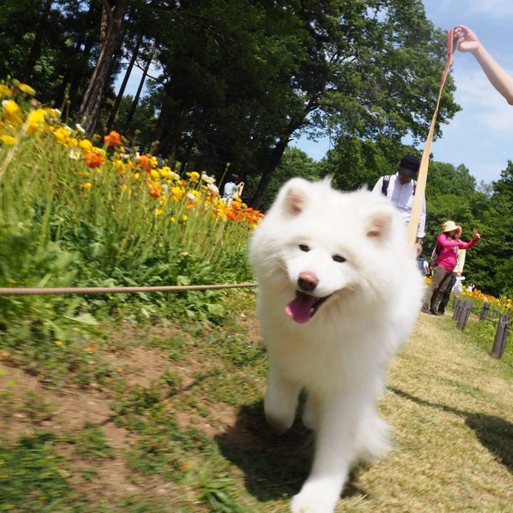 6a0b605a 1849 4ea6 aec8 c06011b86423