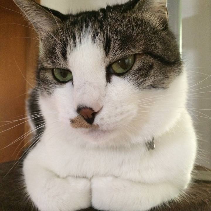 6a0b734b 14ee 4efd 865c 82786ae78378