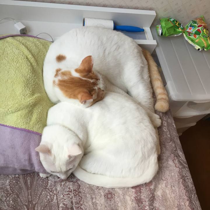 6a0ba56f ebec 4219 89d4 3614adb360d5