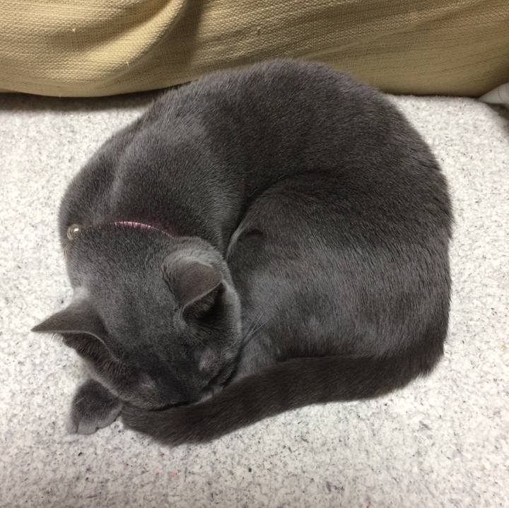 6a0bbe78 3823 440f ab25 47cdcd851b4f