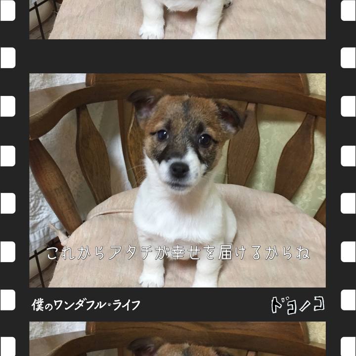 6a0d28f1 a31d 44df add1 a9b8e98246f6