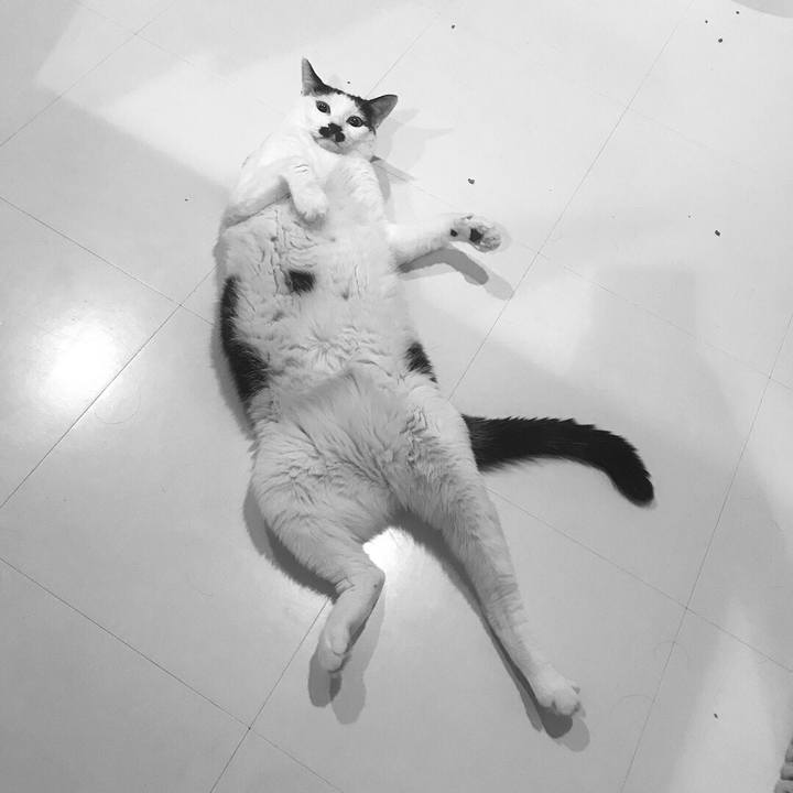 6a0d5dd0 3fef 4543 9c01 95d3828178f6